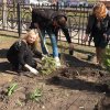 Щоб у серці сонце завжди сходило щасливо - Ви садіть дерева й квіти, хай ростуть на диво !