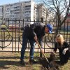 Щоб у серці сонце завжди сходило щасливо - Ви садіть дерева й квіти, хай ростуть на диво !