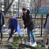 Щоб у серці сонце завжди сходило щасливо - Ви садіть дерева й квіти, хай ростуть на диво !