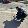 Моніторинг доступності філій КНП «Київська стоматологія» та навчальних корпусів Університету Грінченка