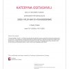 Gallery of student activity