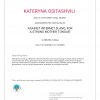 Gallery of student activity