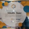 gallery of student activity