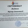 gallery of student activity