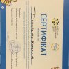 gallery of student activity