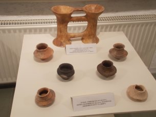 DSCN3960 305x229